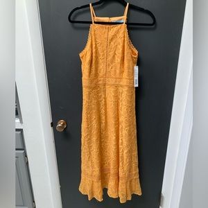 NWT Antonio Melani Beeswax Style Dress in Desert Moon Size 2